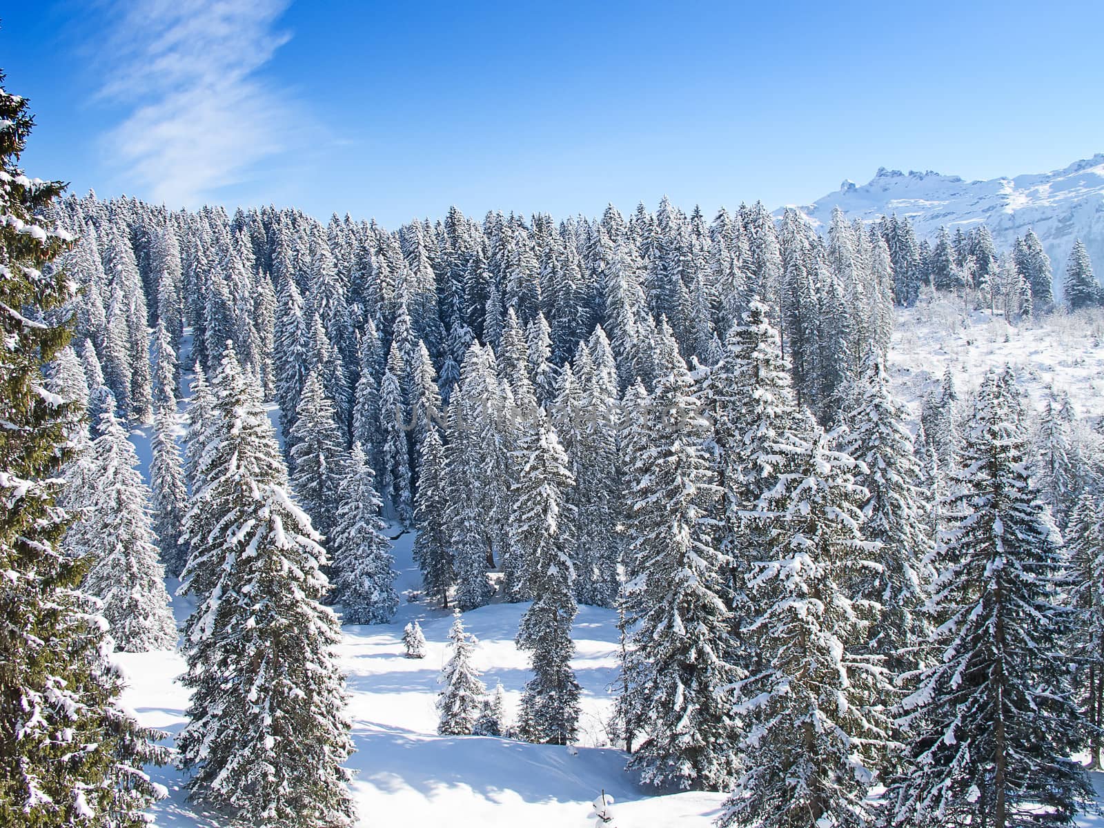 Winter in the swiss alps, Switzerland