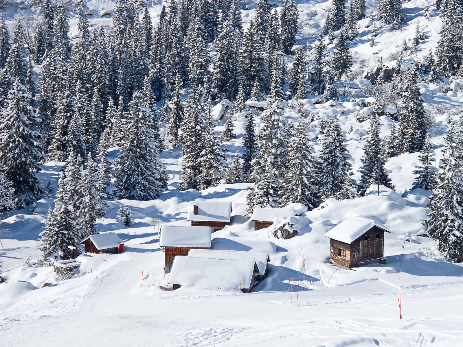 Winter in the swiss alps, Switzerland