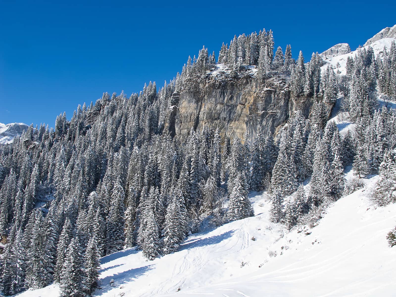 Winter in the swiss alps (Braunwald, Switzerland)