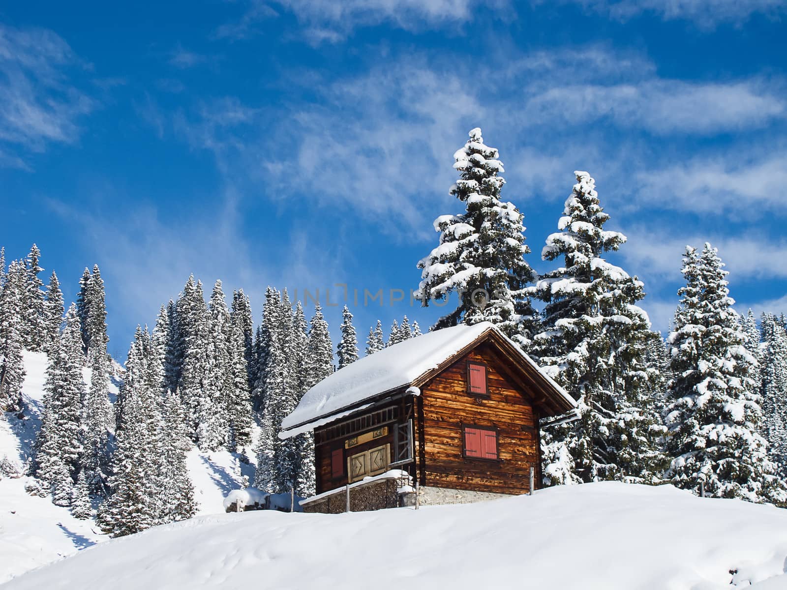 Typical swiss winter season landscape. January 2011, Switzerland.