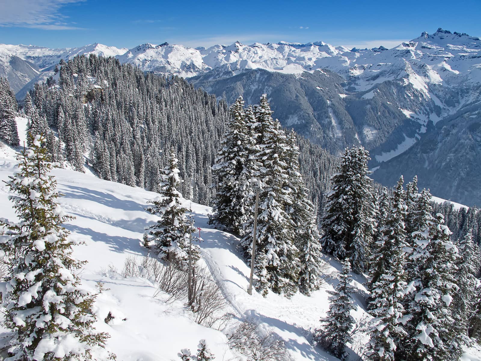 Typical swiss winter season landscape. January 2011, Switzerland.