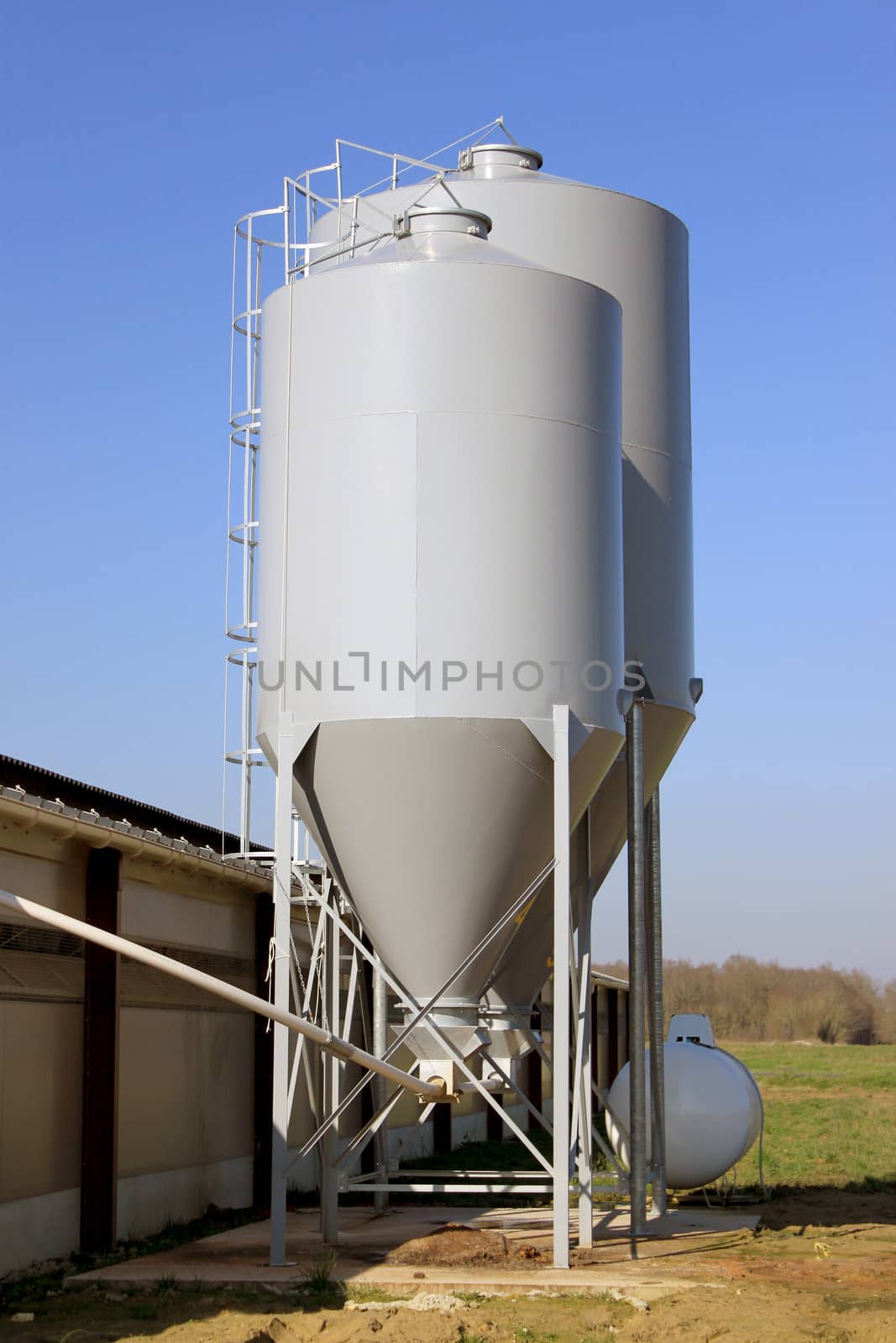 grain silos near a poultry hens and chickens