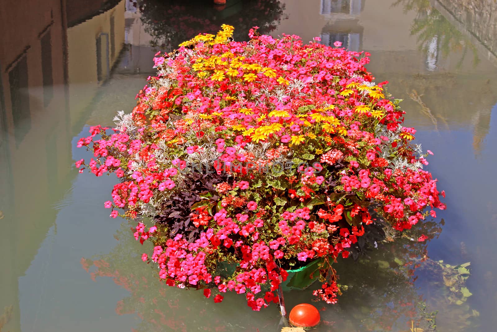 a boat with flowers on a river