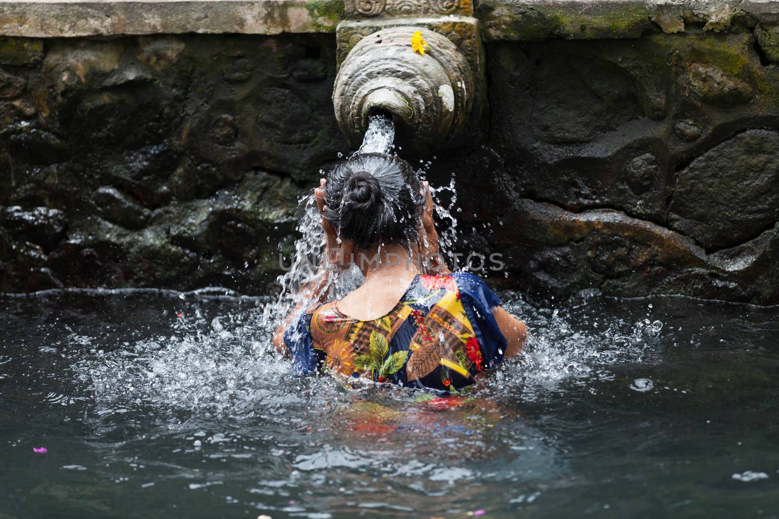 Balinese woman prayer take a bath  in the sacred holy spring water in Tirta Empul, Bali, Indonesia. It is famous place for purification of Bali people