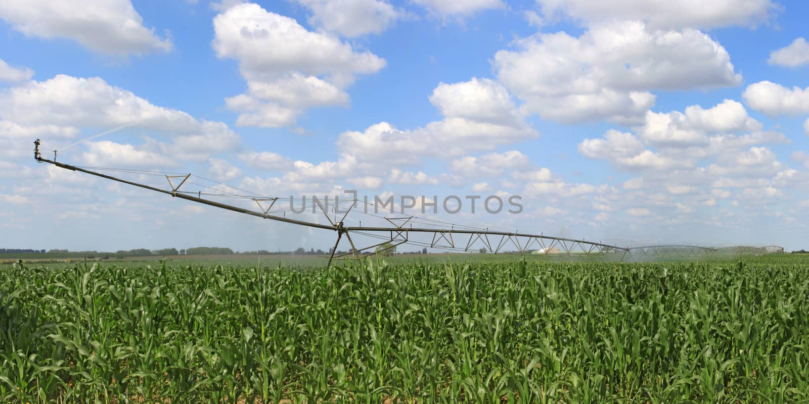 an irrigation system for agriculture in a grain field