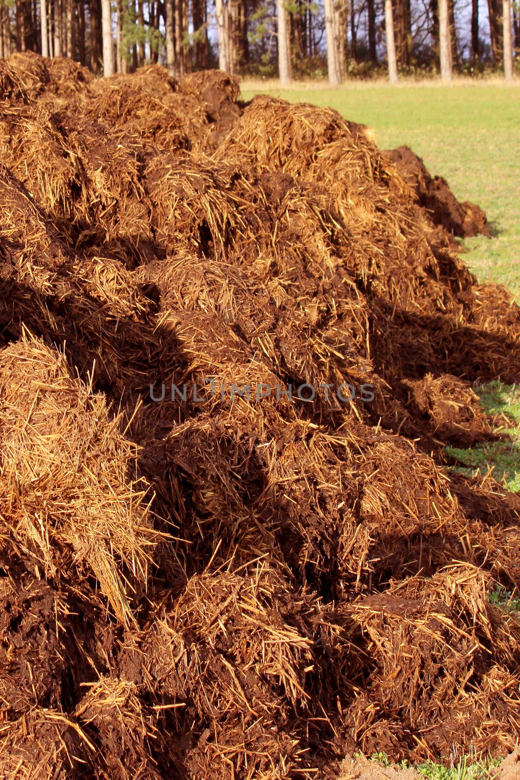 spreading of manure heaps or slurry for organic farming