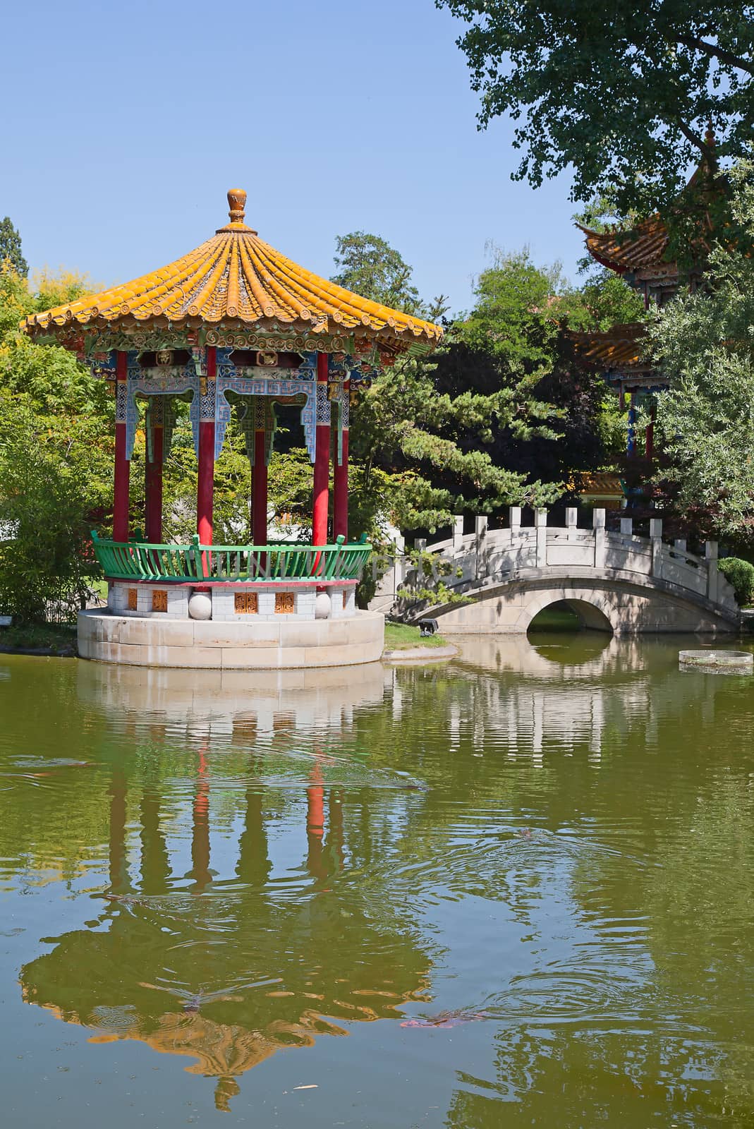 Traditional chinese garden with pond