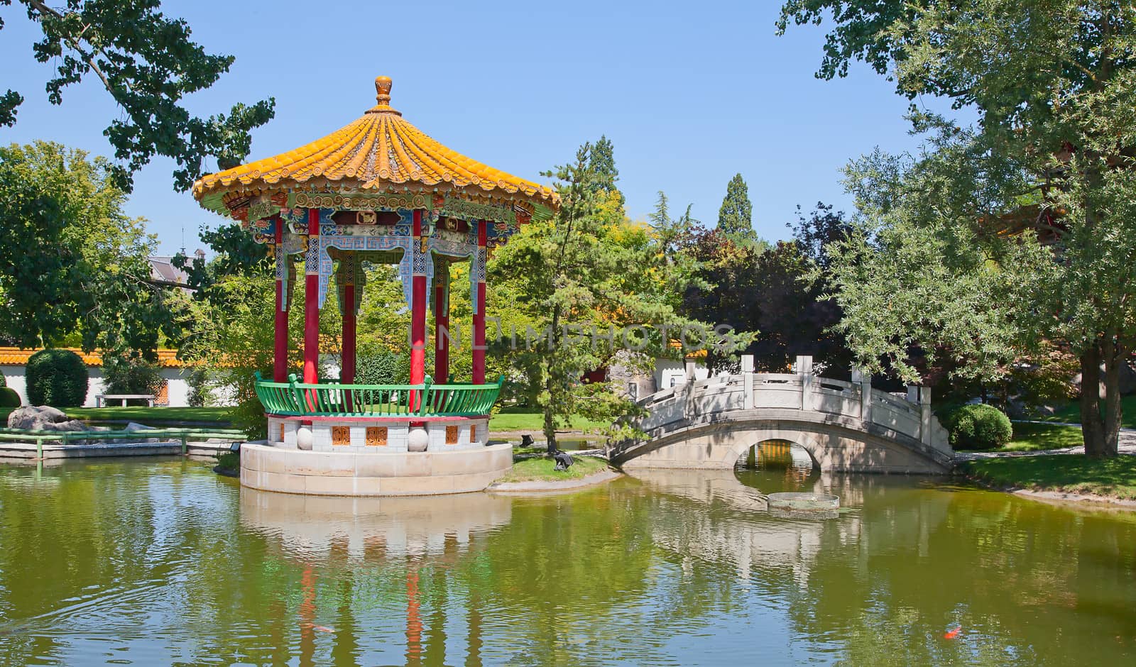 Traditional chinese garden with pond