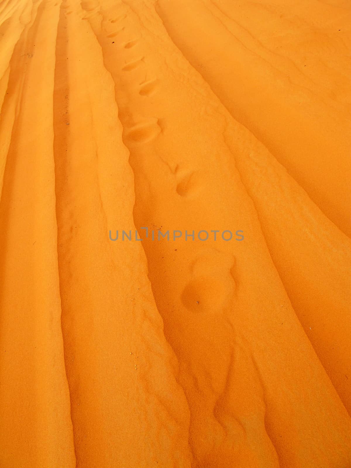 Red sand "Arabian desert" near Riyadh, Saudi Arabia