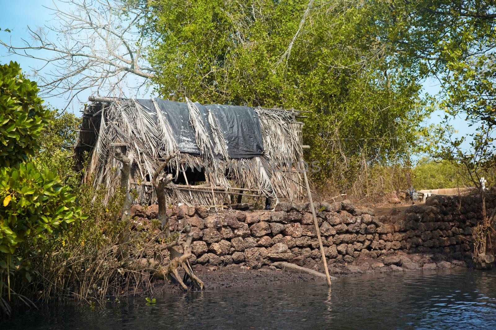 Old fishing shack in tropical shrubs at the river. Goa, India. Horizontal photo