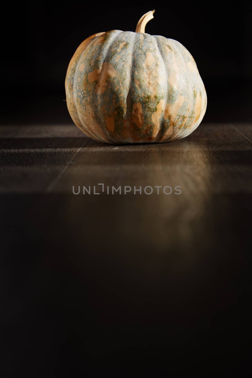 Pumpkin for Halloween in the dark room. Vertical photo