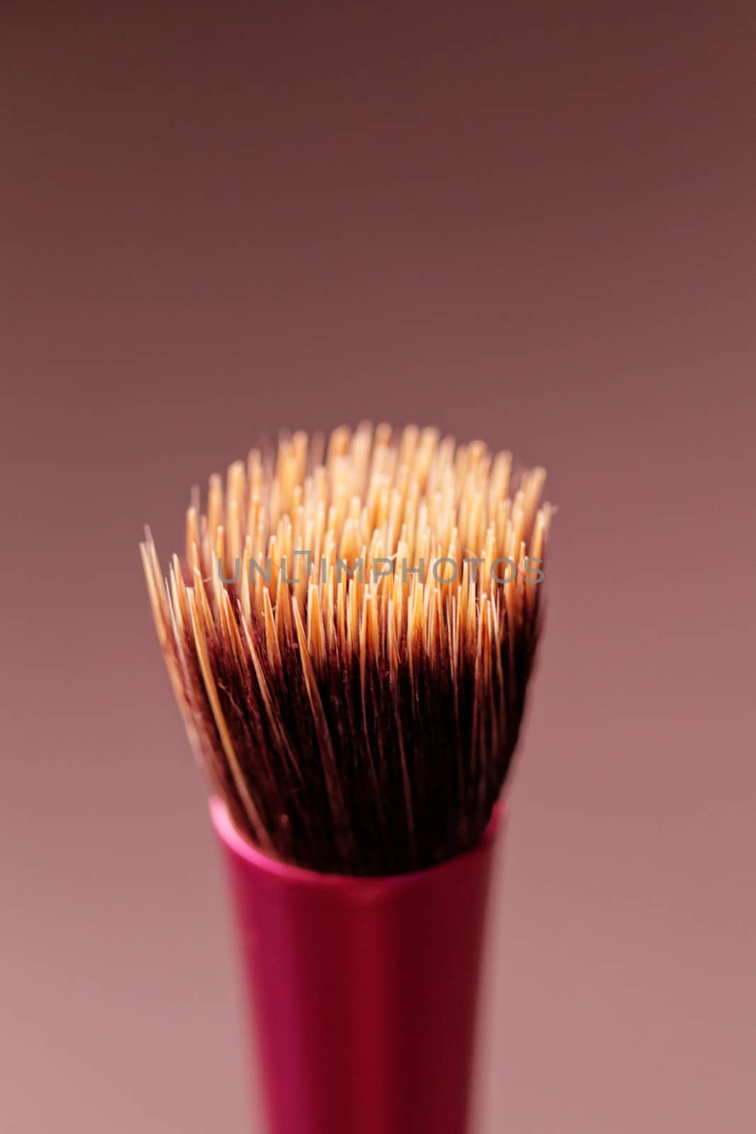 makeup brushes by NagyDodo