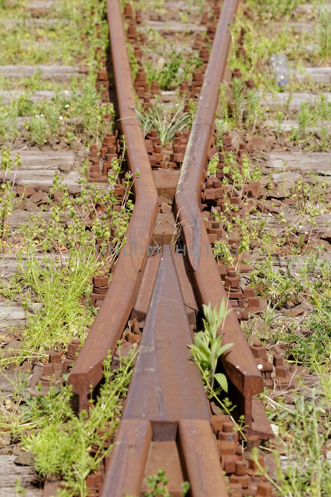 railway track crossing by NagyDodo