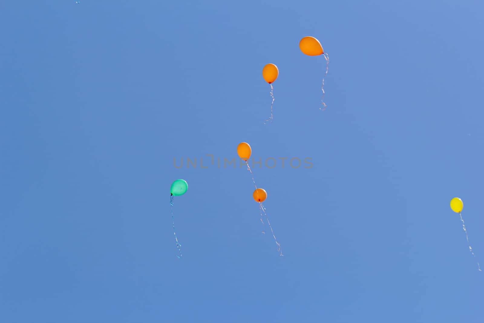 color balloons flying to the sky