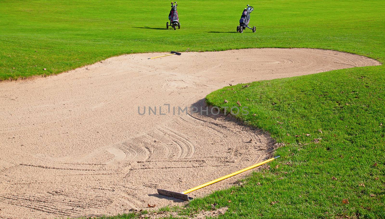 green grass of the golf course