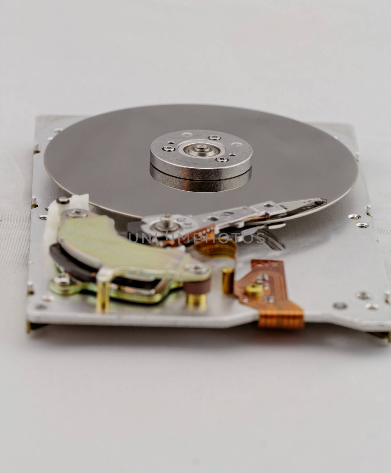 Open computer hard drive on white background by NagyDodo