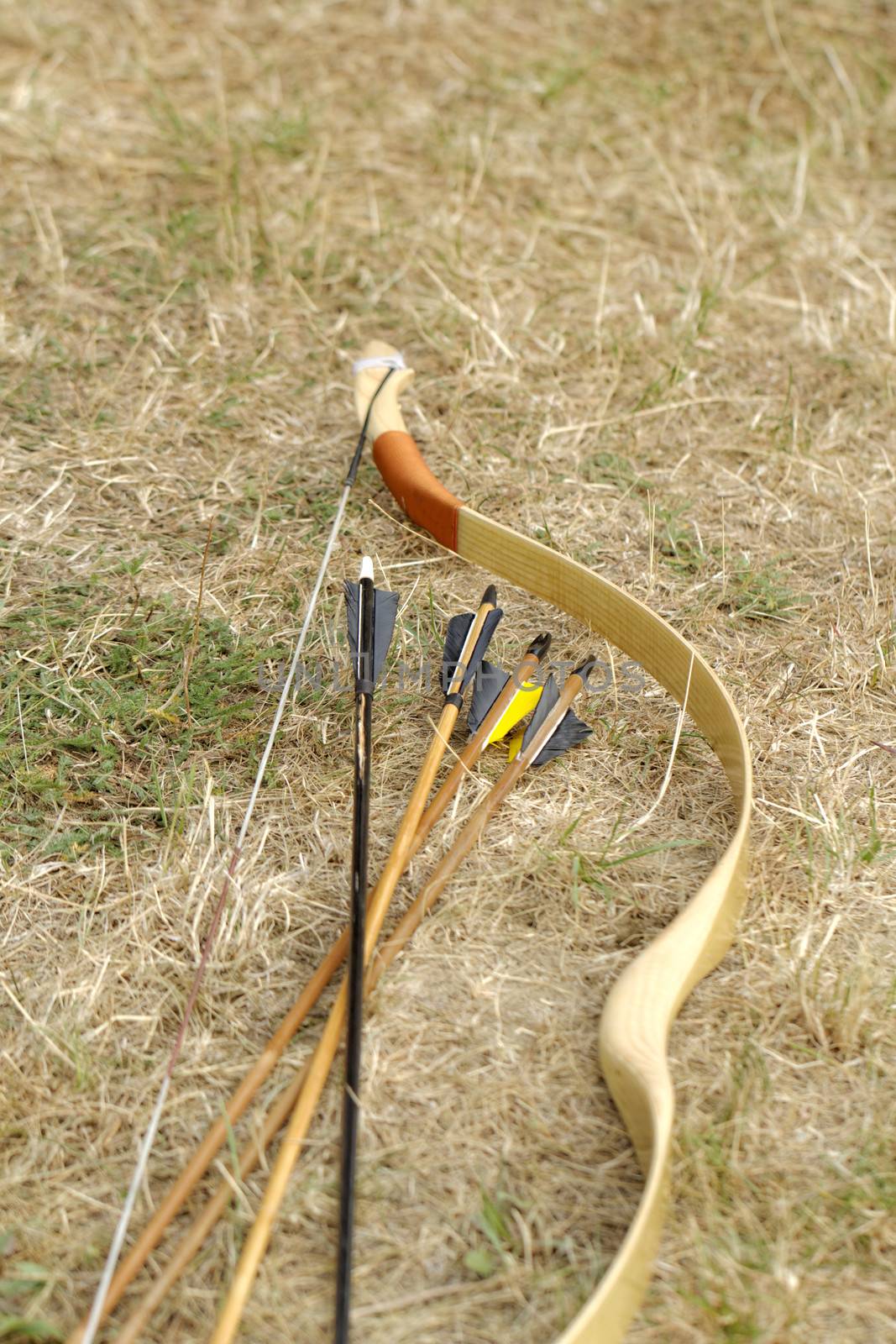 color archery arrows and bow in nature on the ground