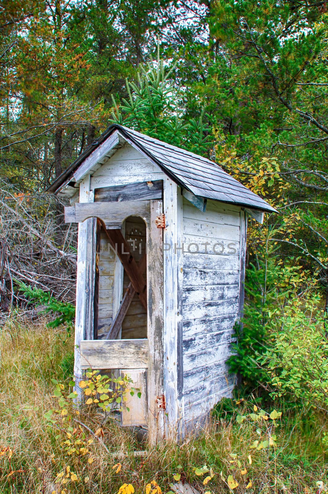 Dilapidated Outhouse by wolterk