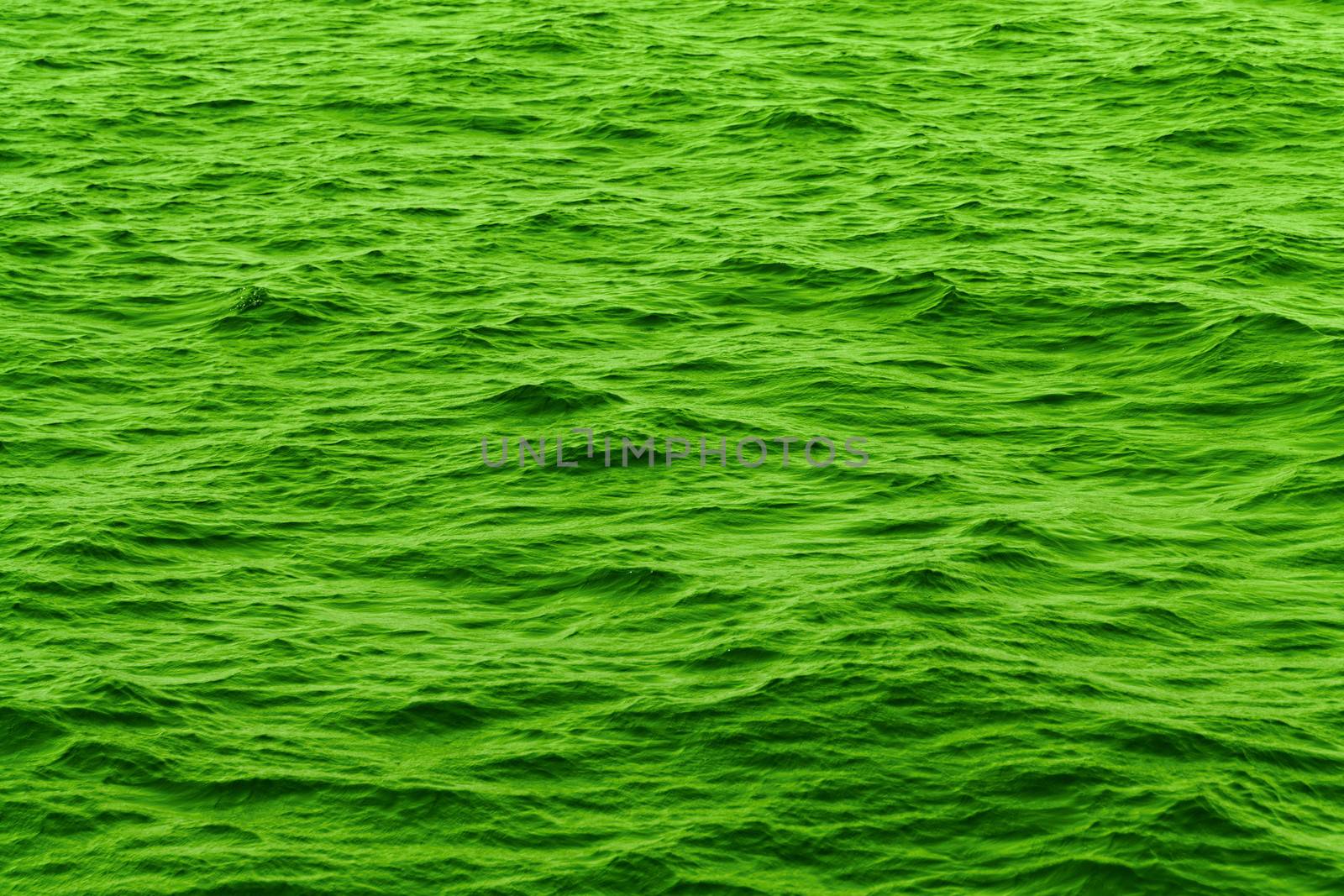 green abstract background of wavy water by NagyDodo