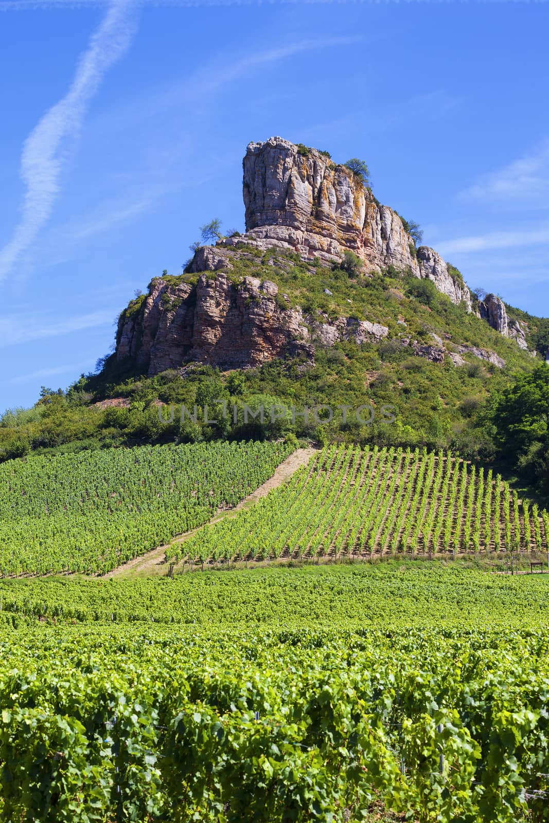The famous Solutre Rock with vineyards in Burgundy, France