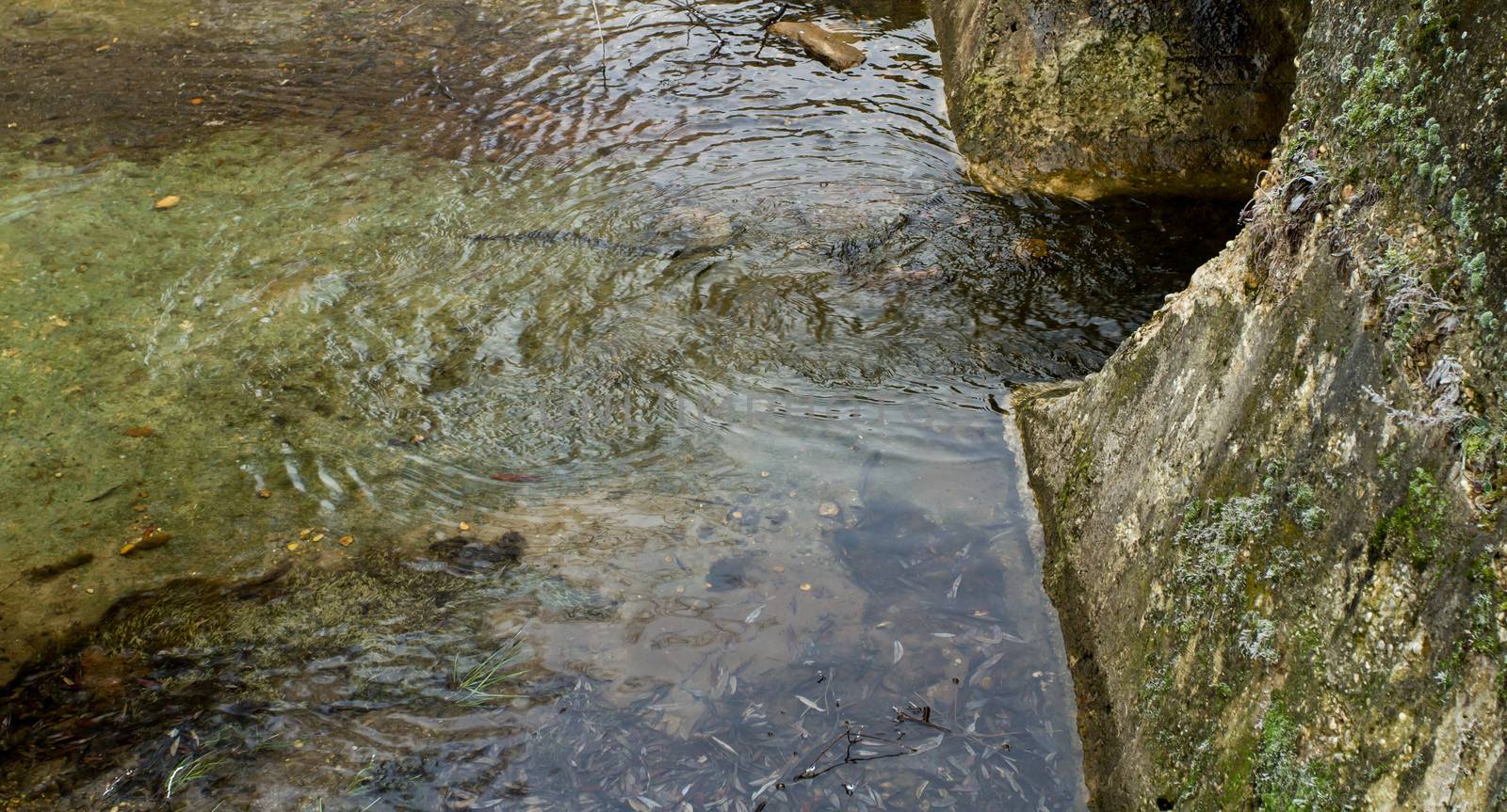 ancient outflow channels