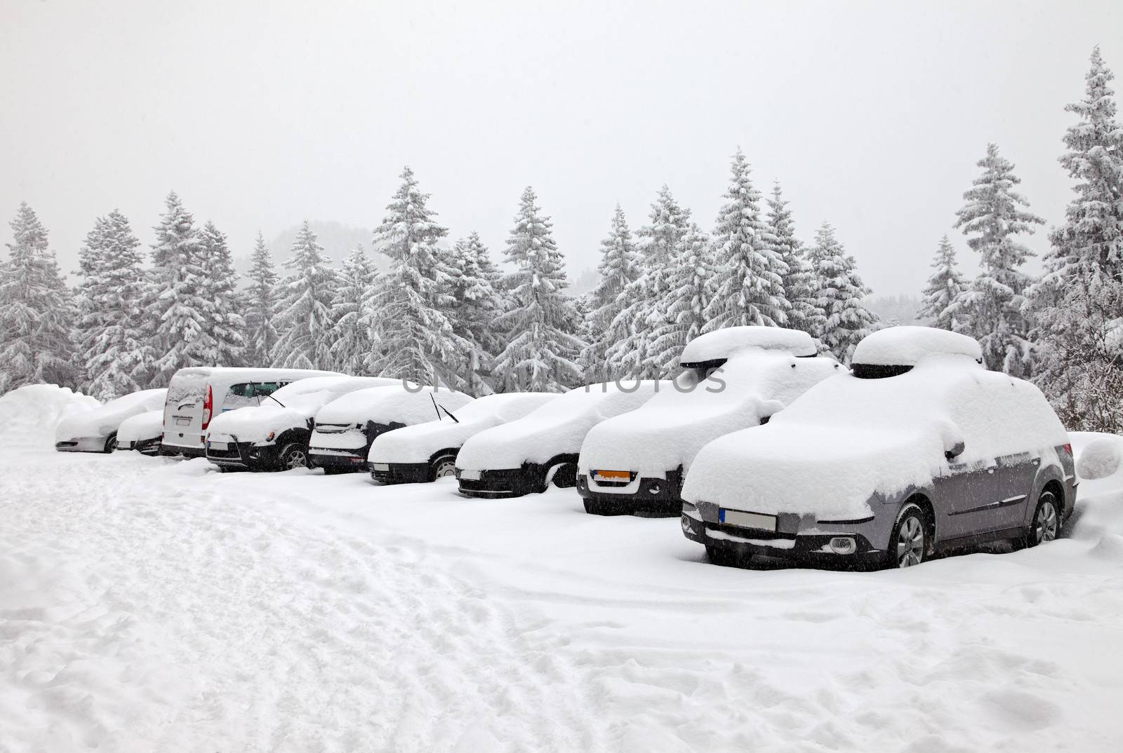 Parking cars covered by a lot of snow