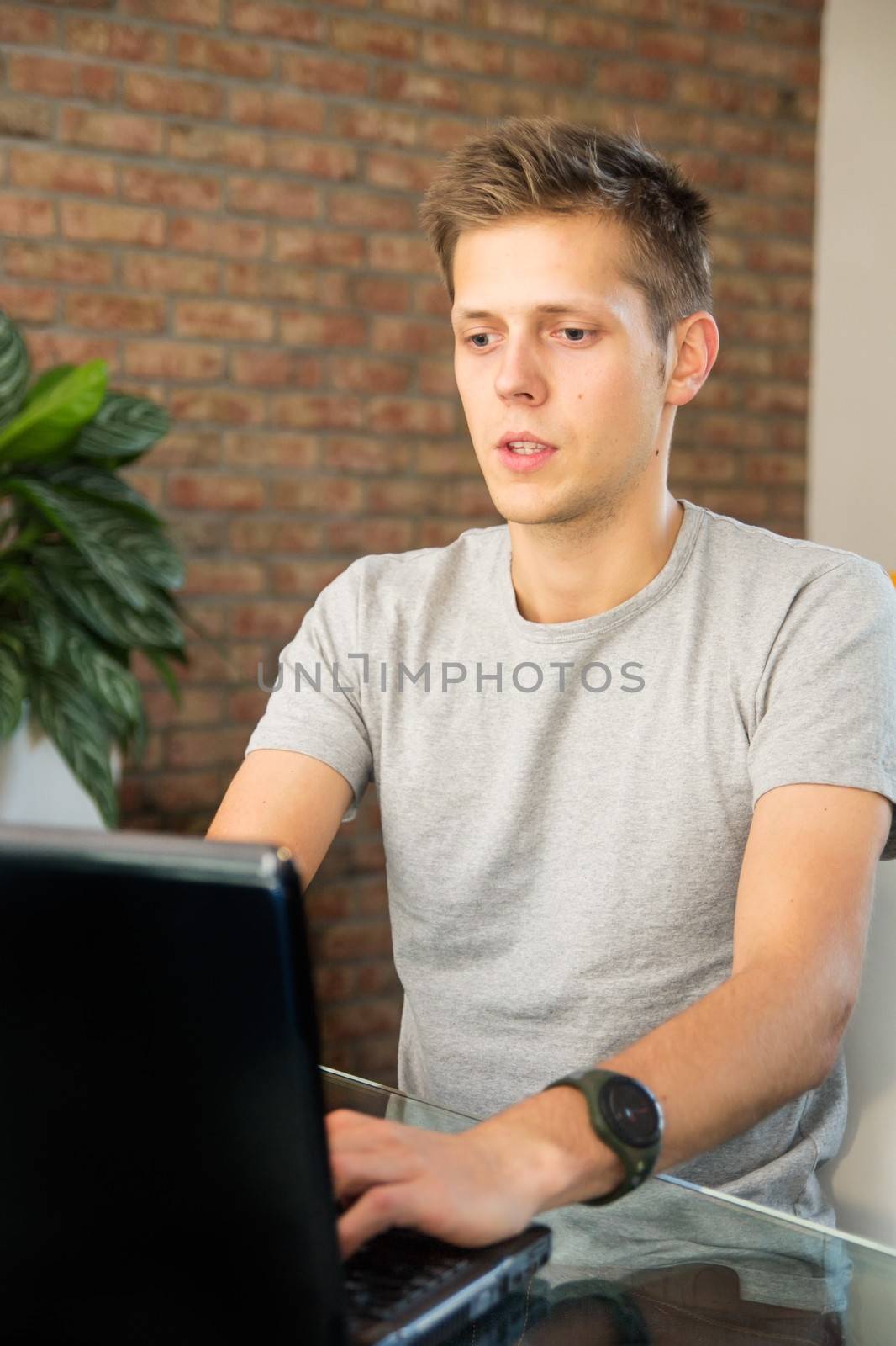 Young man working on laptop 