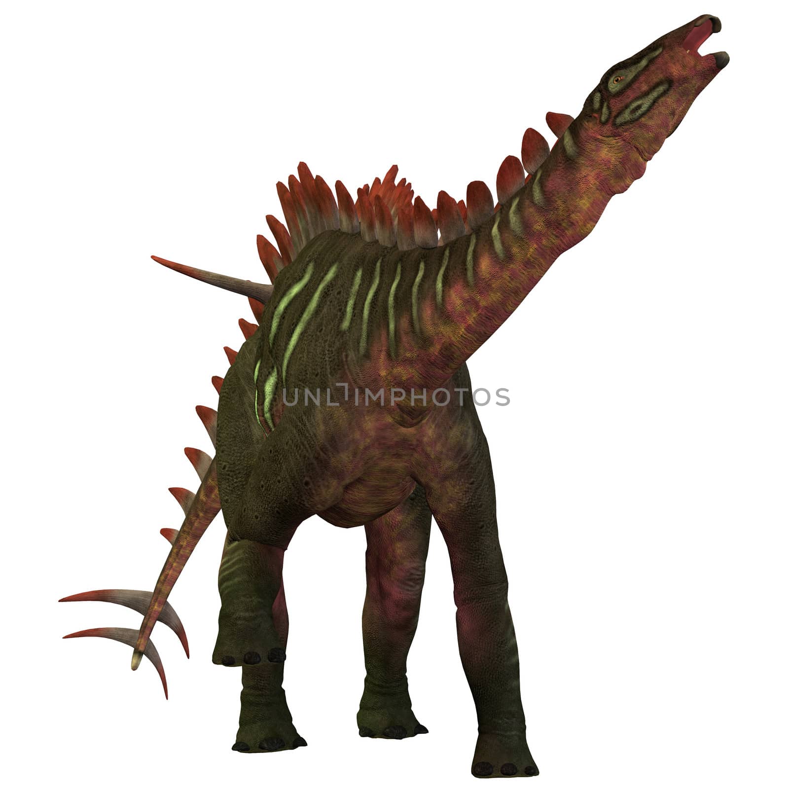 Miragaia is a genus of stegosaurid dinosaur that lived in the Upper Jurassic Era.