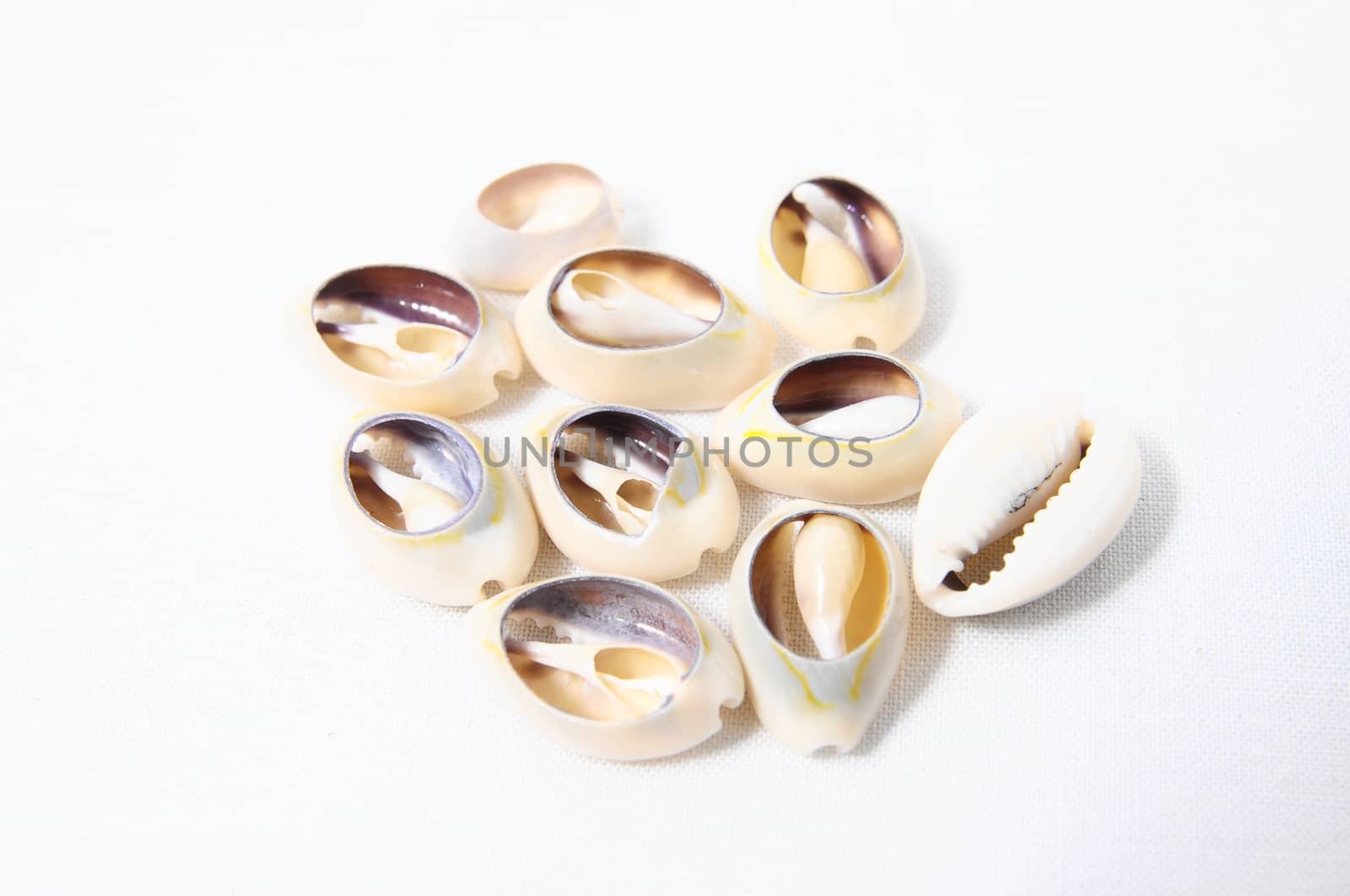 Materials to Produce Handmade Jewelry Isolated on a White Background