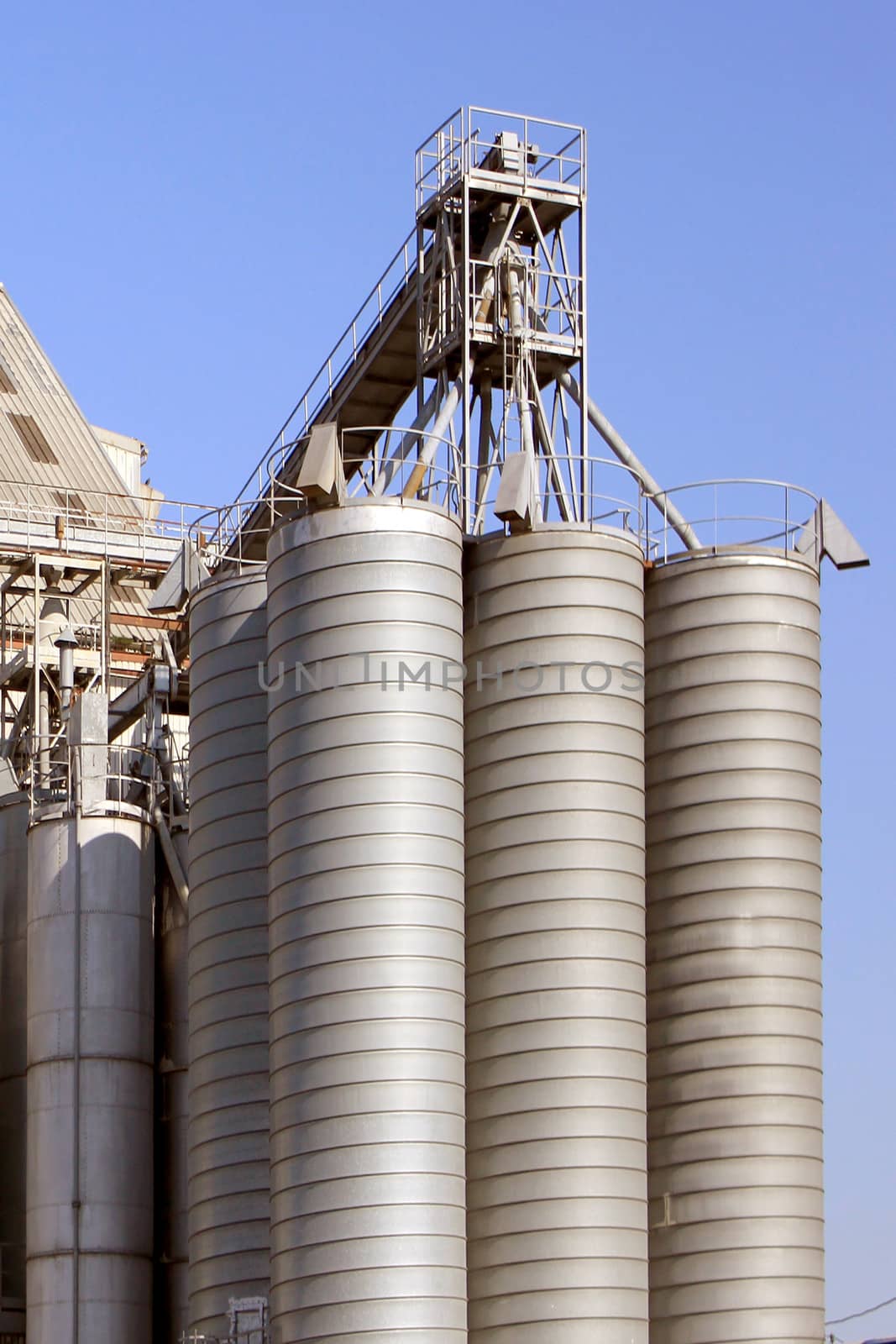 factory for the processing of cereals for food for cattle