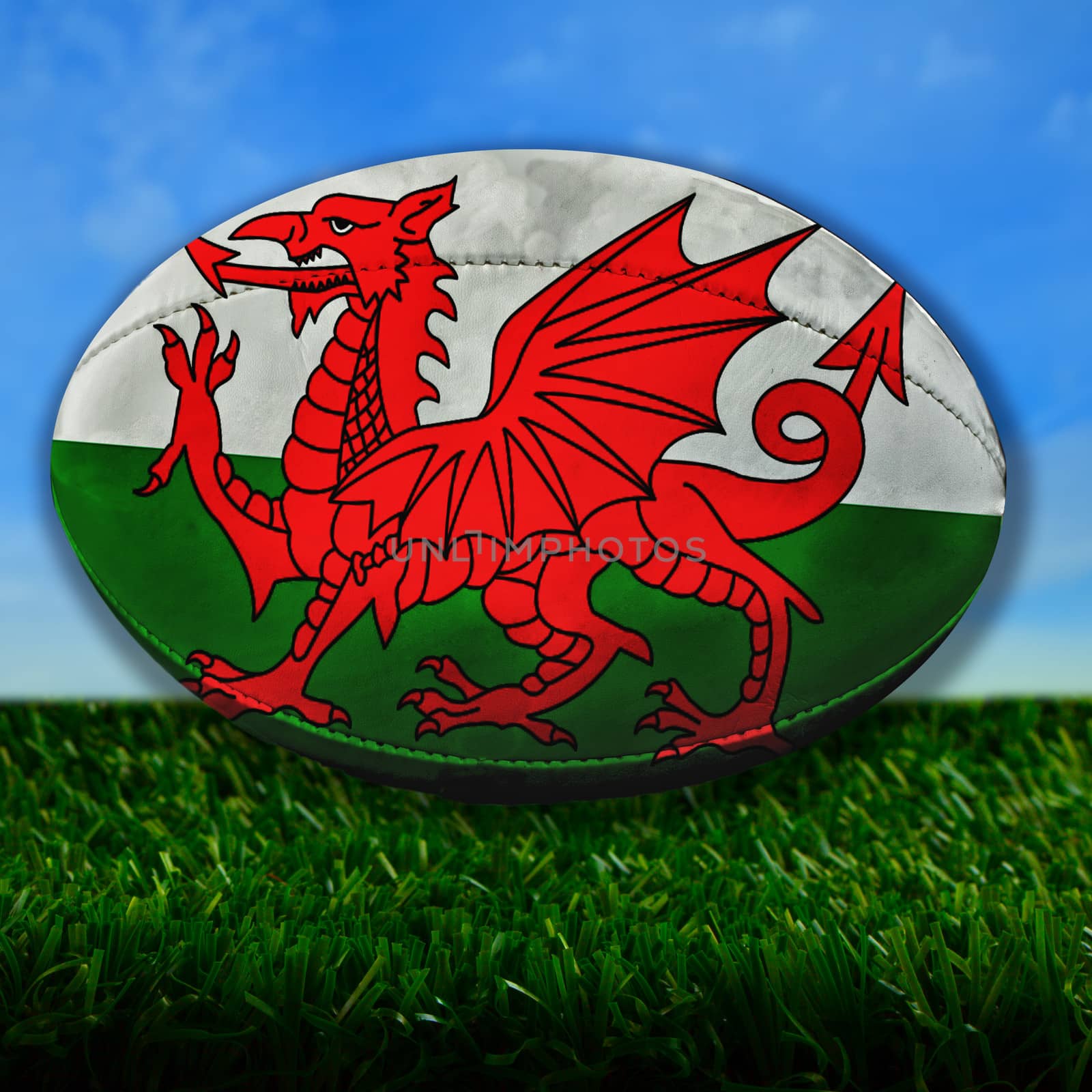 Wales Rugby by Koufax73