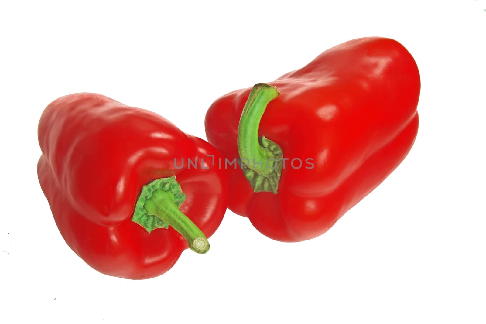 two red pepper isolated by anvodak