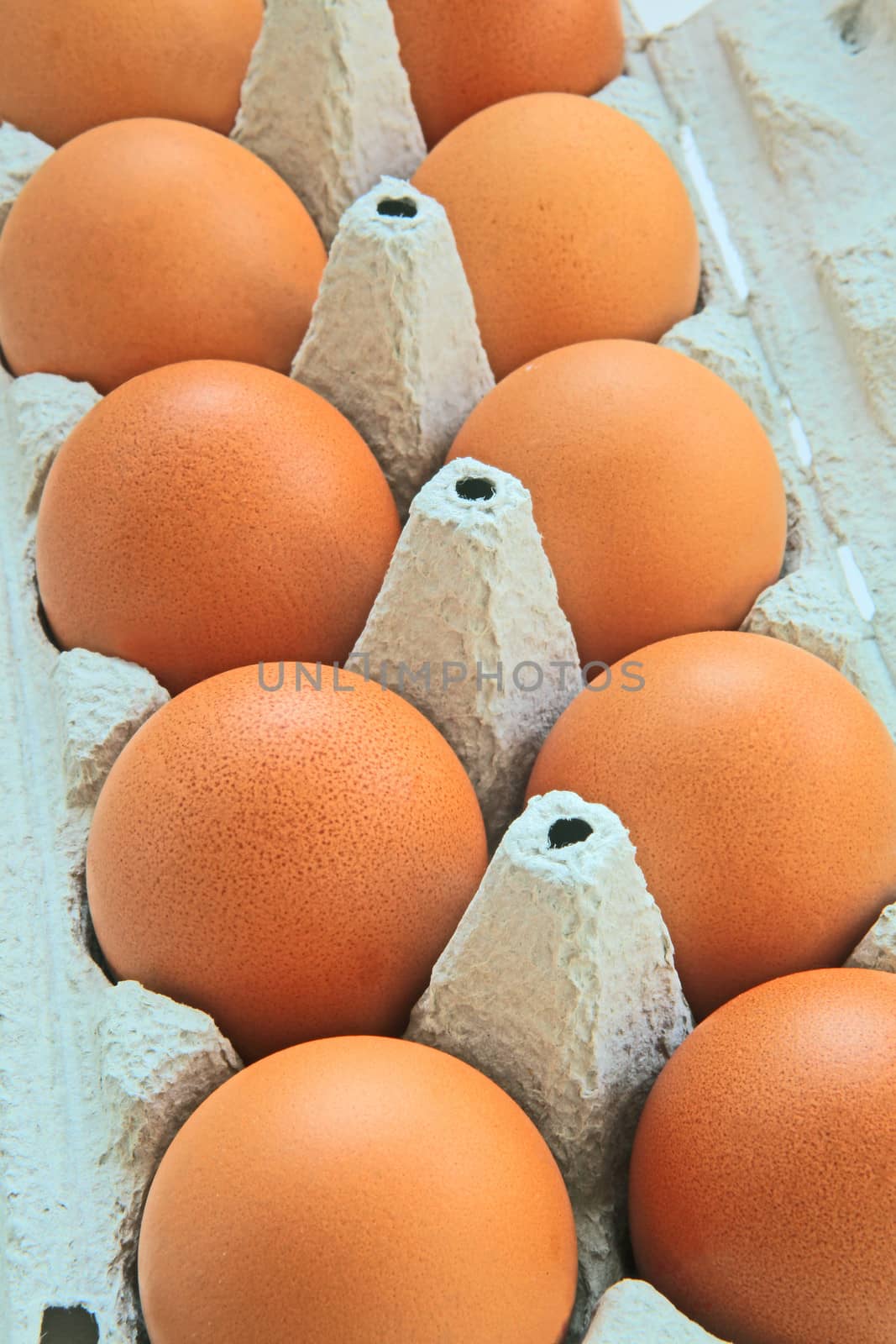 eggs in a paper box