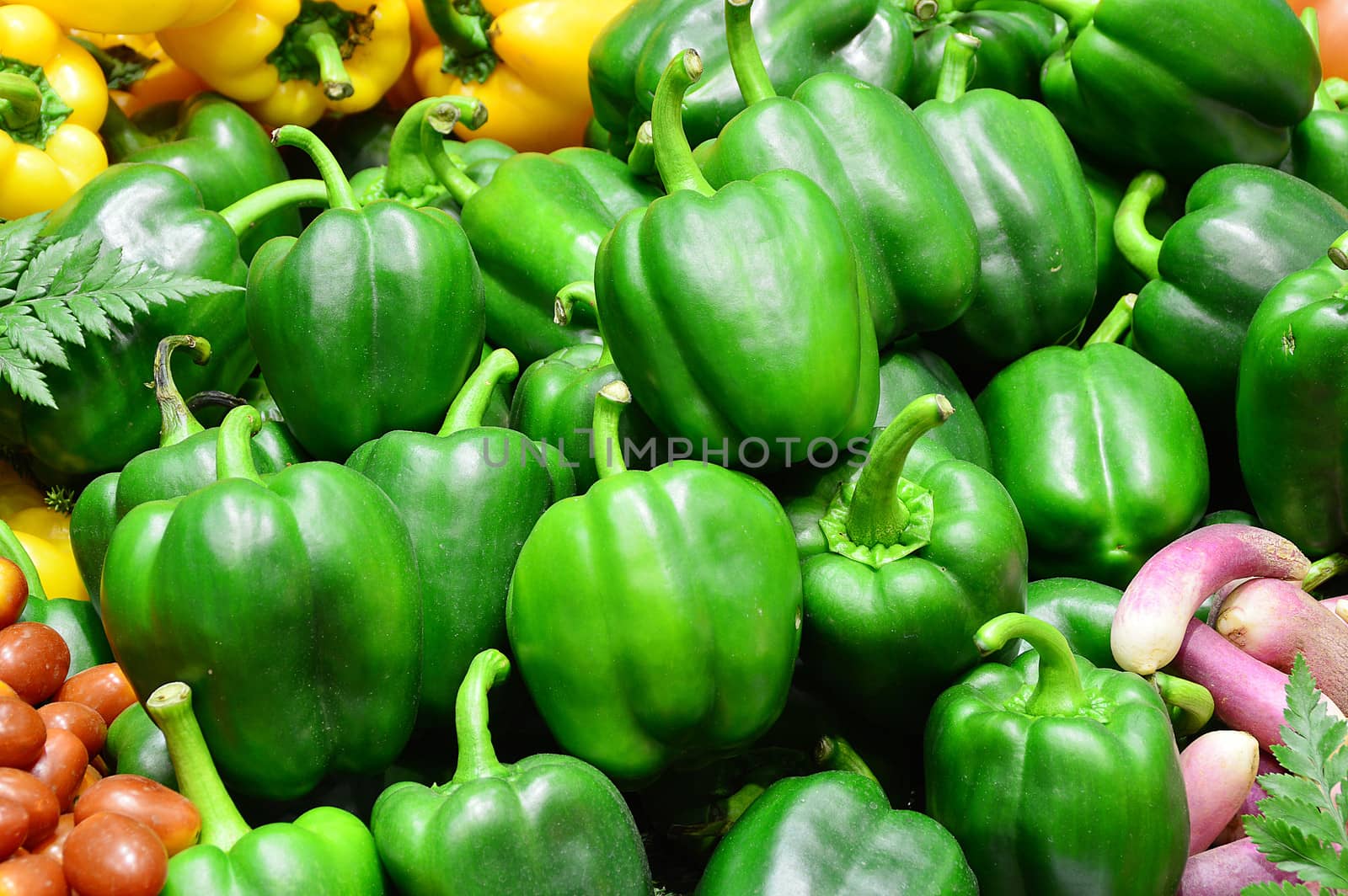 ripe Yellow and Green Peppers in Vegetables Market by Lekchangply