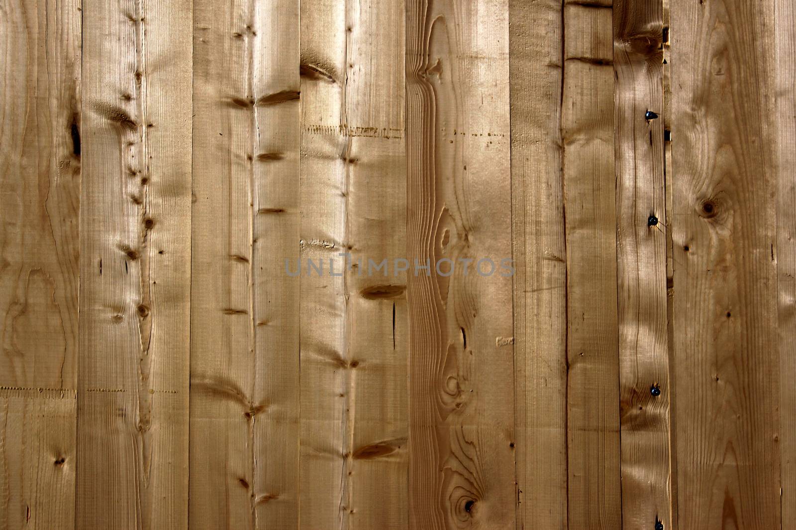 texture of natural wood for the construction of an ecological house