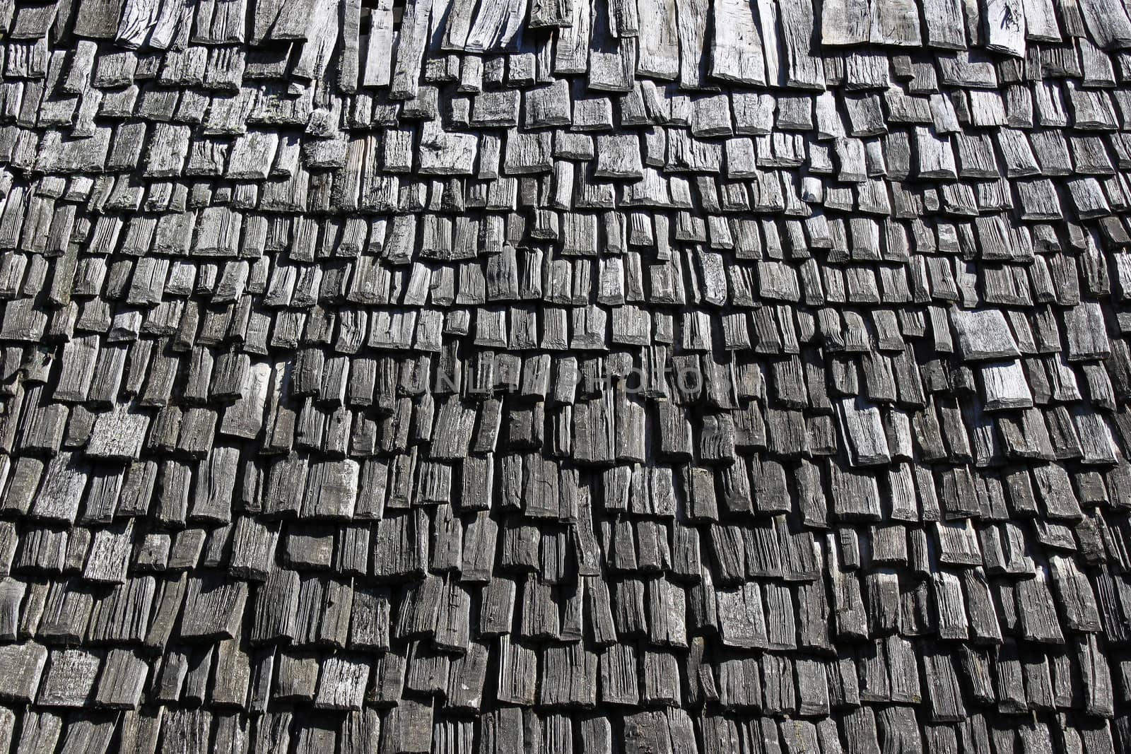 roof covered with tiles out of wooden of the Middle Ages