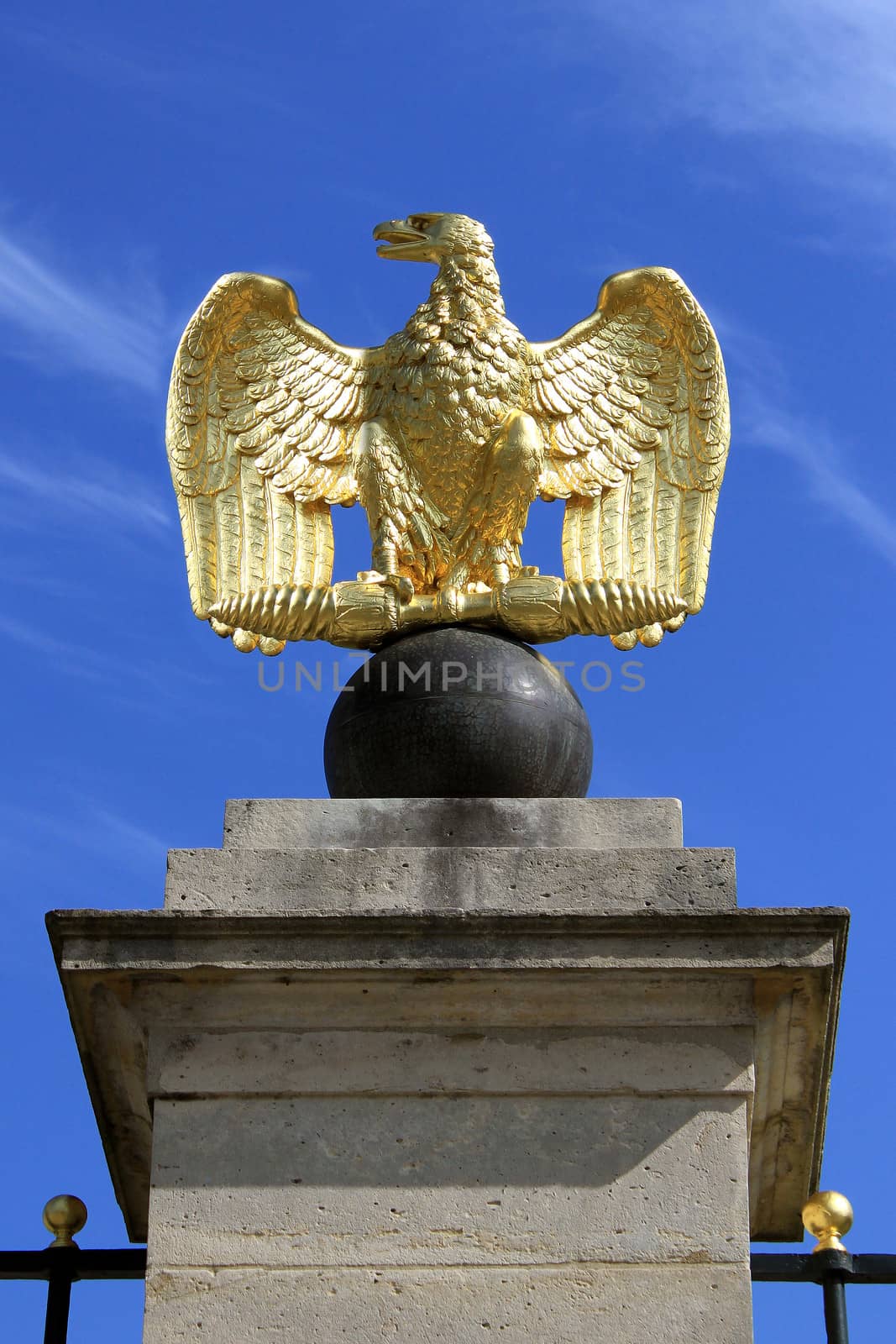 Eagle gilded gold statue placed on a column