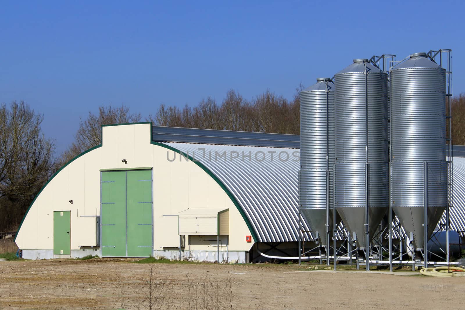 photo of a barn with grain silos for breeding hens and chickens
