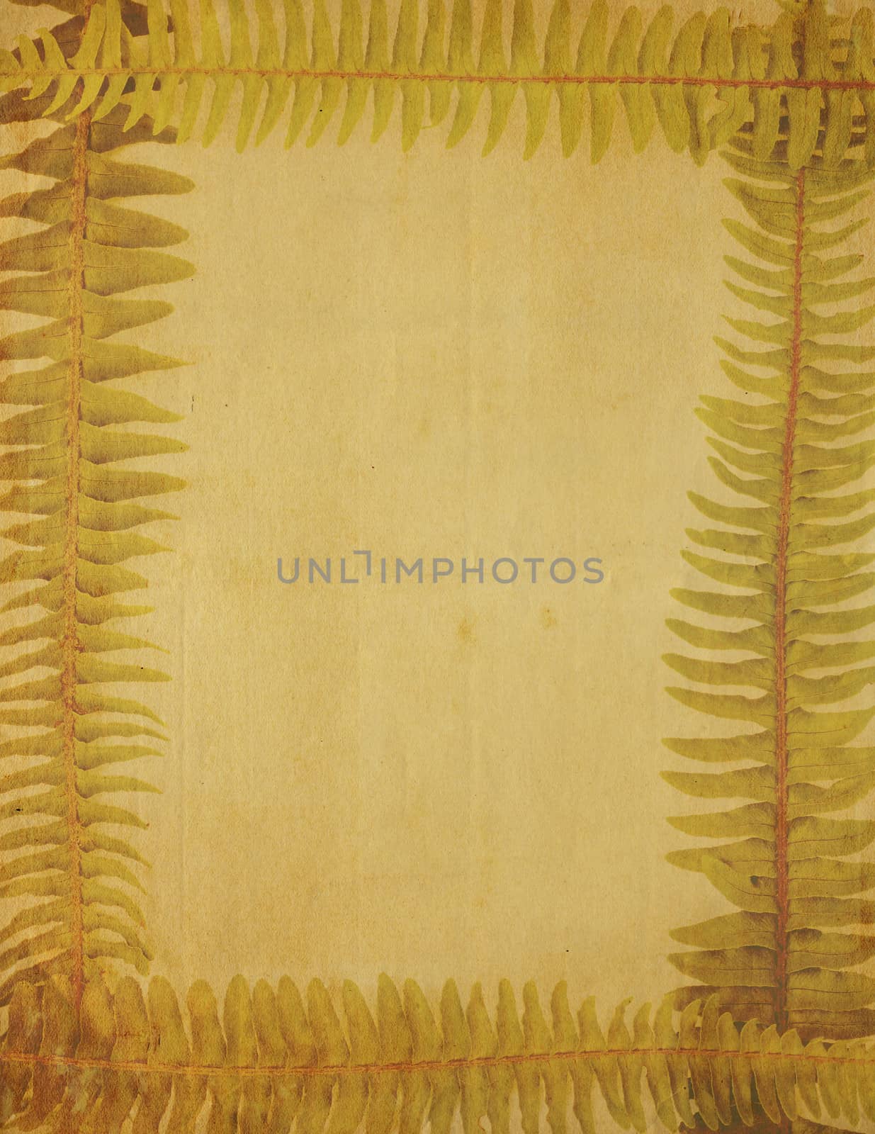 Very Old, Yellowed Image of Paper Framed With Fern Border by Em3