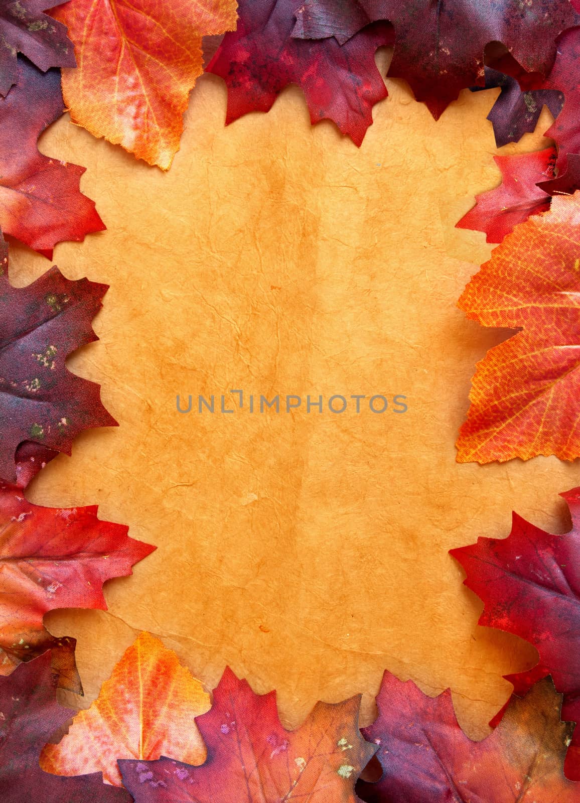 Autumn leaves  by unikpix