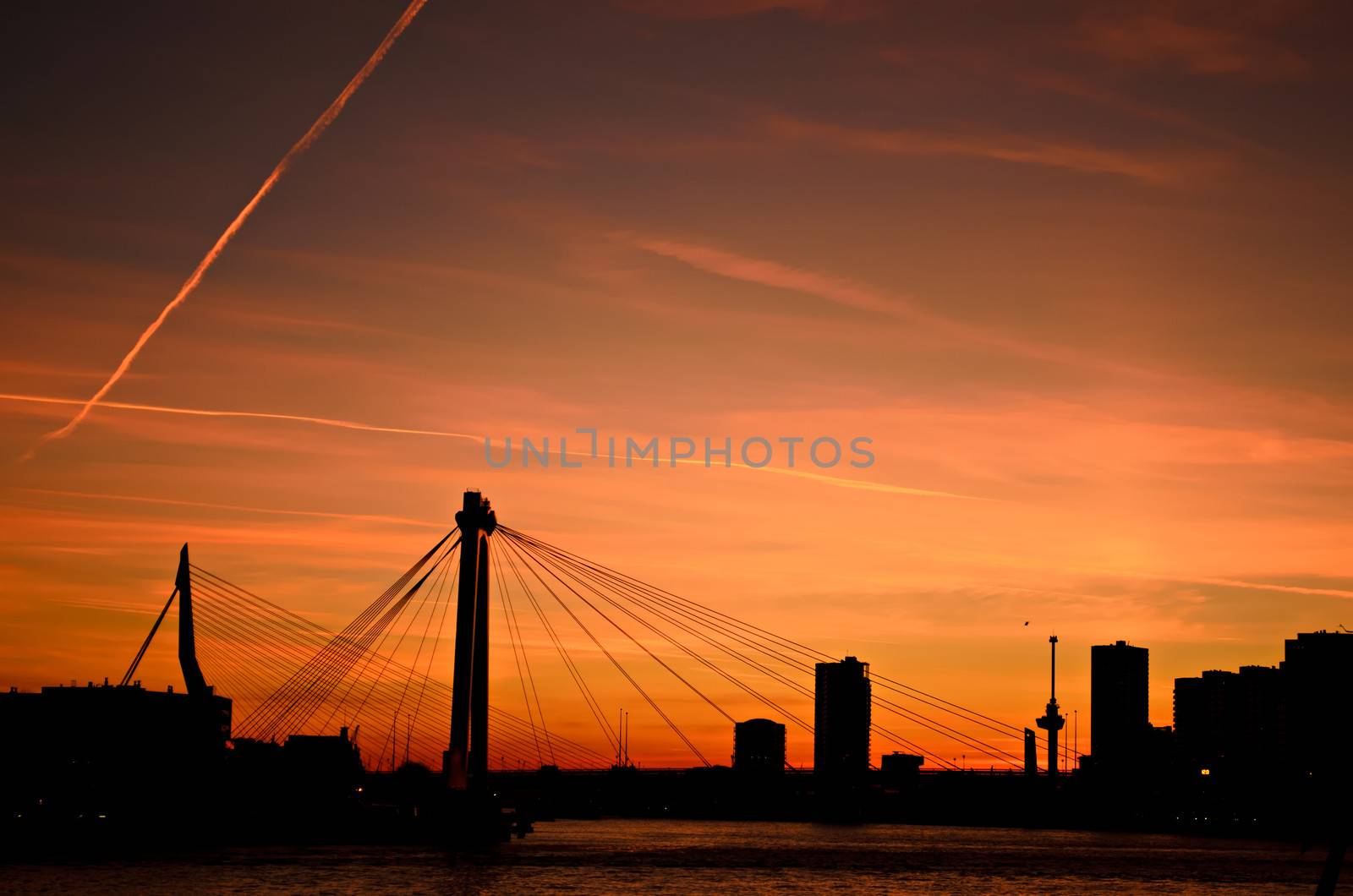 The skyline of the city of Rotterdam in the Netherlands over the water of the river Maas during sunset.