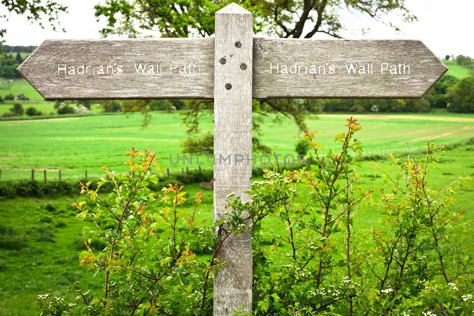 Wooden sign for part of the Hadrian's Wall Path in Northumberland, UK