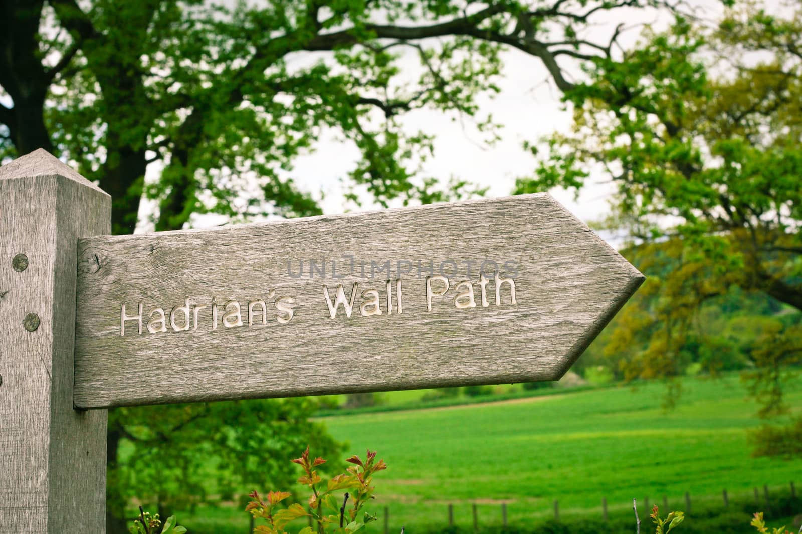 Wooden sign for part of the Hadrian's Wall Path in Northumberland, UK