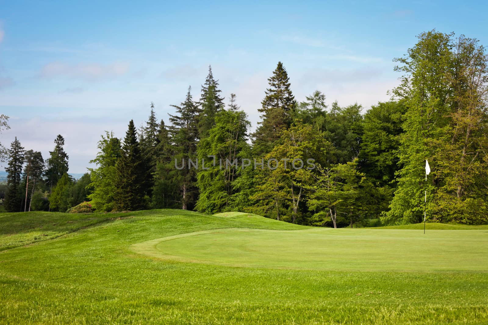 A woodland golf course in Northumberland, UK