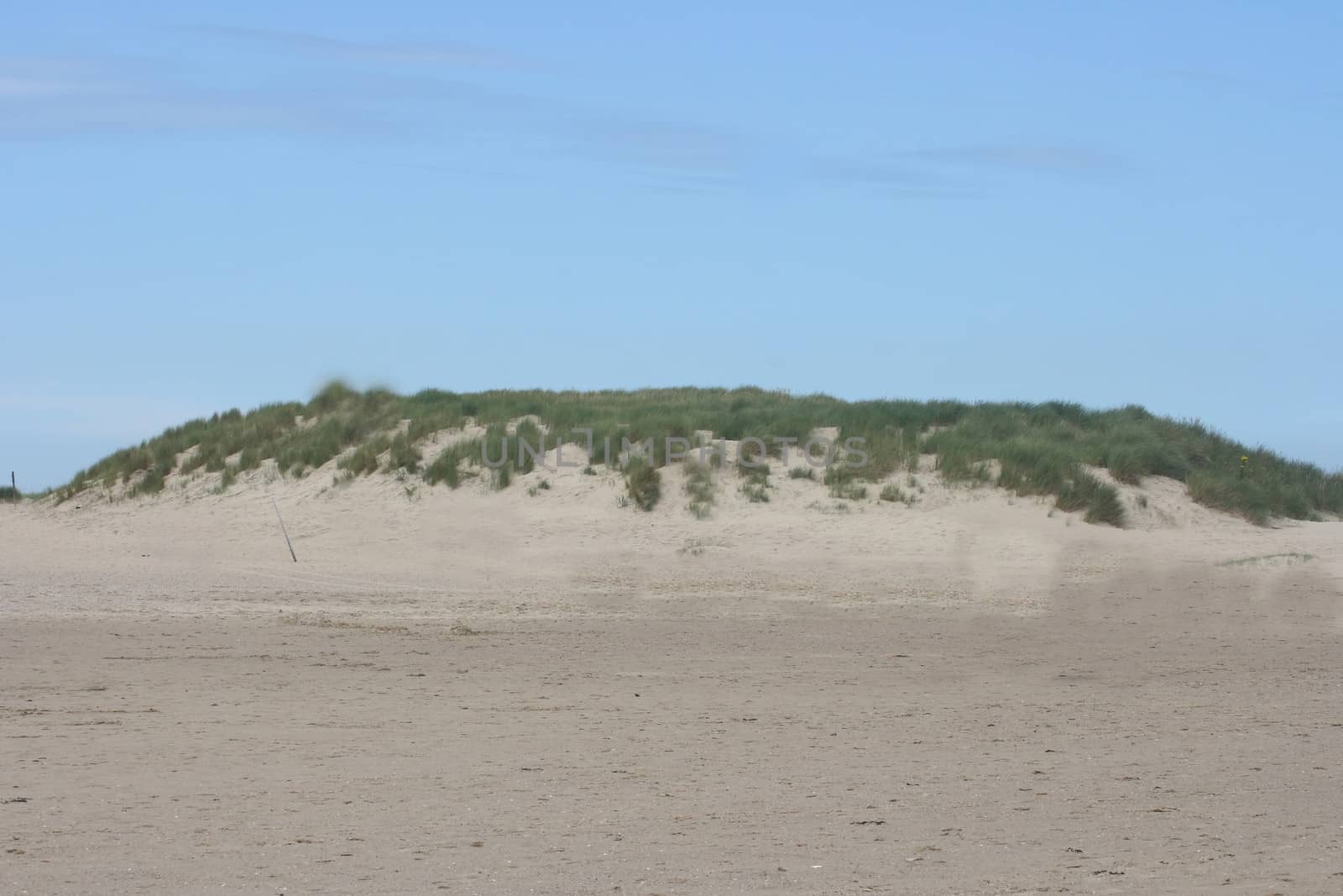 An dune, overgrown with sparse grass