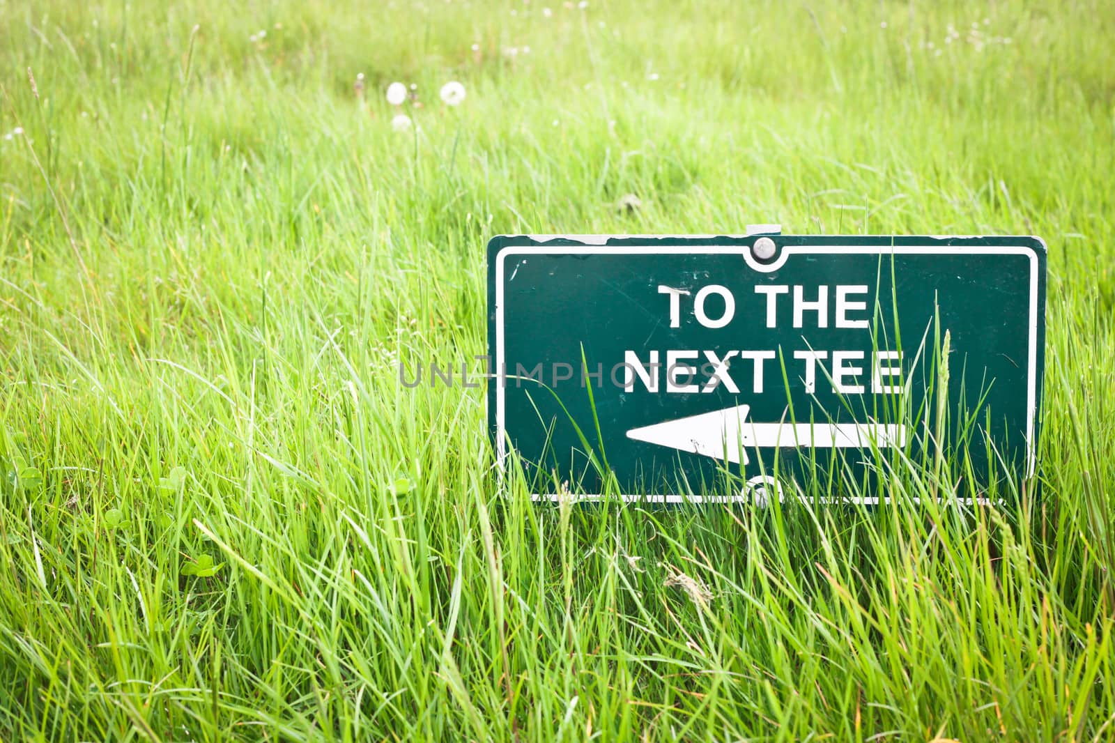 Sign pointing to a tee on a golf course