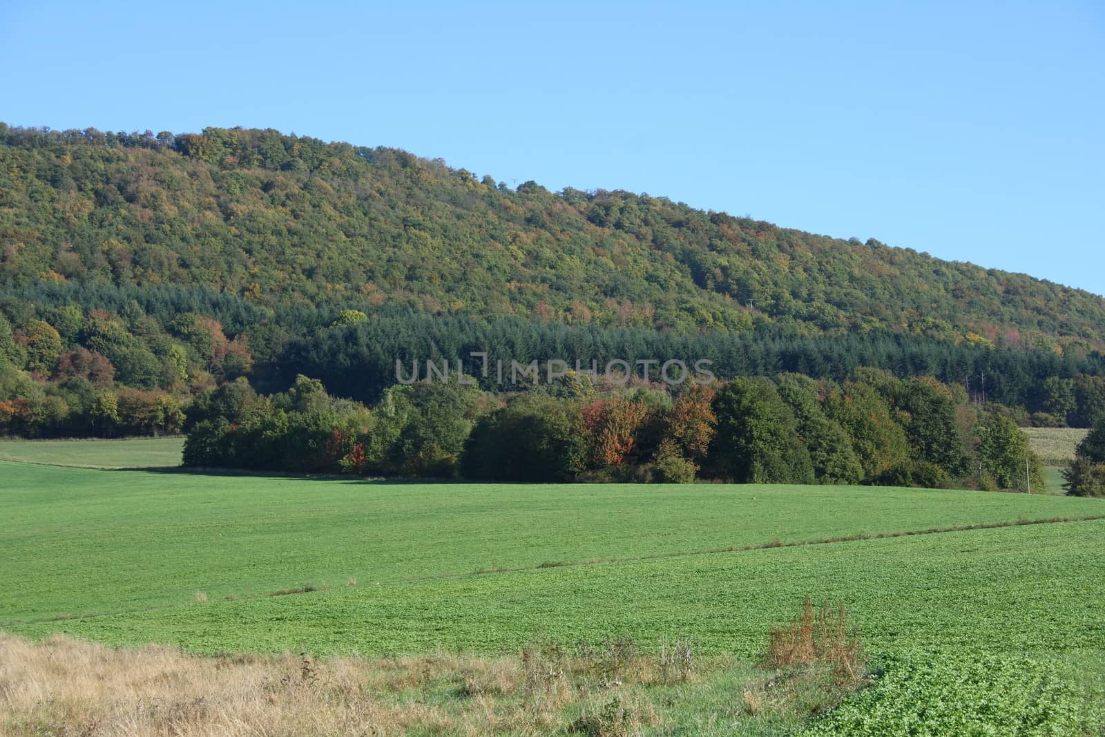 Mountains with forested mountain