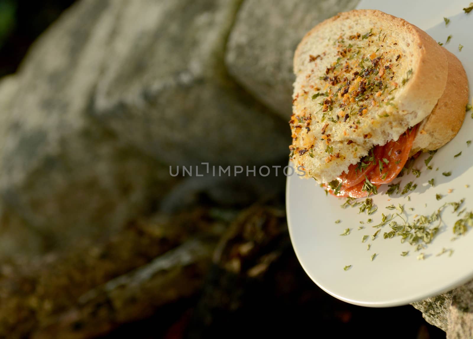 toasted salami sandwich outdoors