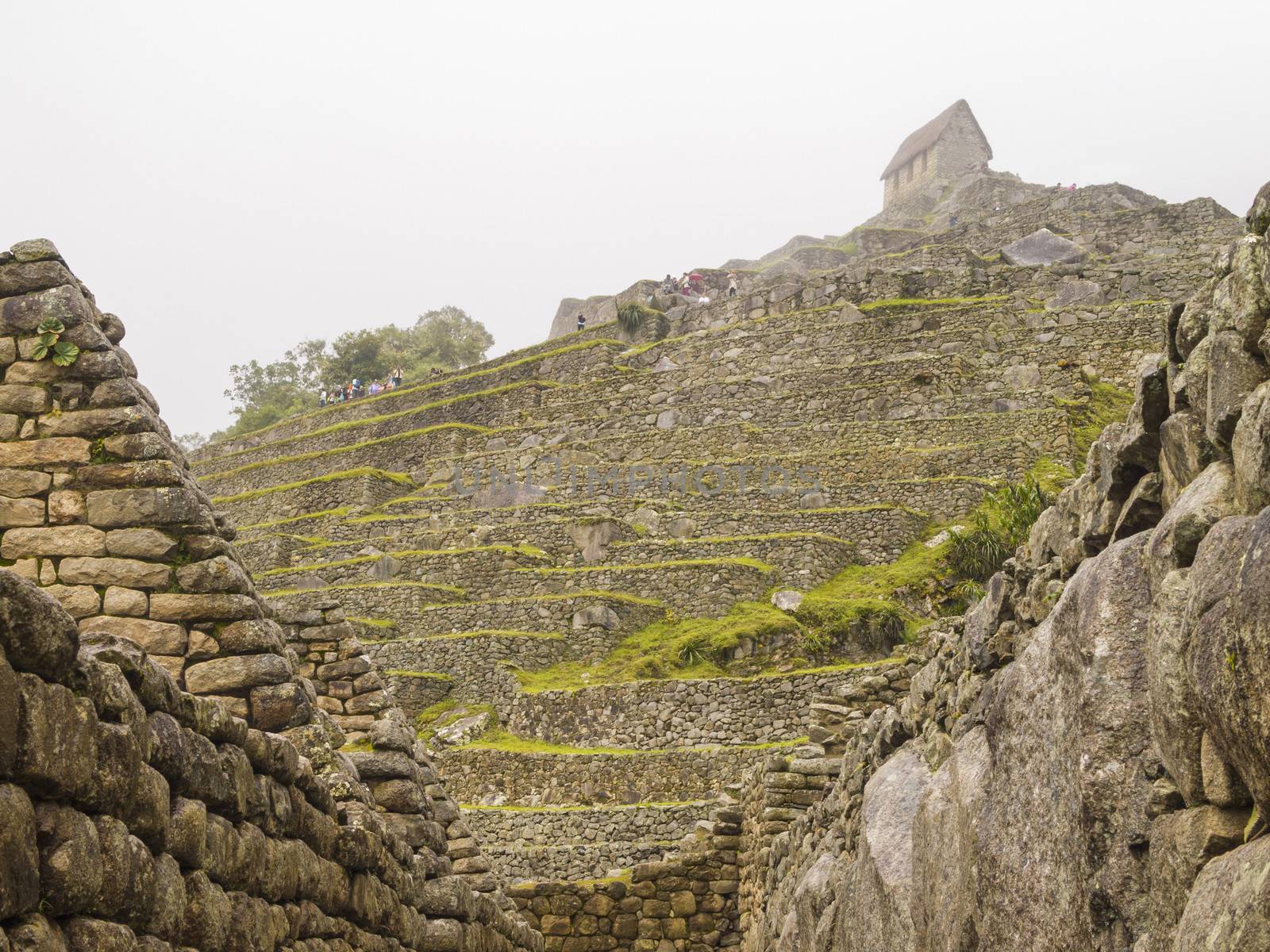 The Watchman's Hut on the top of Terraced Fields in the upper Agricultural Sector in a pre-Columbian 15th-century Inca site of the lost Inca city Machu Picchu, Andes mountains, Urubamba, Cusco, Peru.