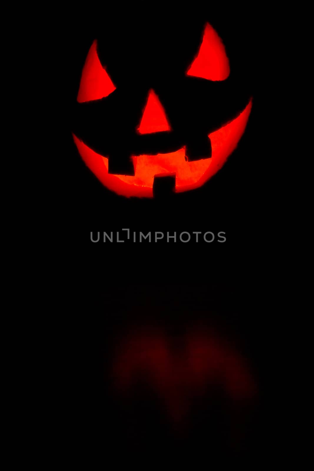 Halloween pumpkin on black background